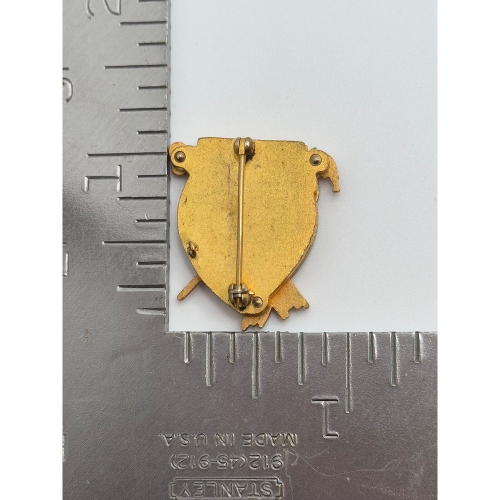 Vintage Fraternity School Opera Scientia Auctus Pulchrituoo Enamel Brooch Pin - Picture 2 of 8